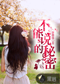 ����˵������