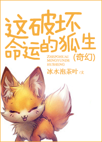 ���ƻ����˵ĺ���