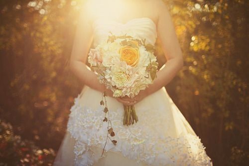 �ճ���������