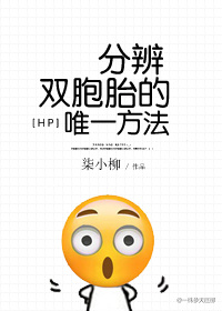 [hp]�ֱ�˫��̥��Ψһ��������