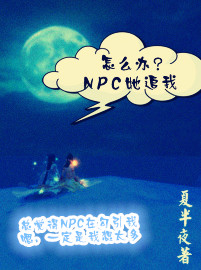 ��ô��,npc��׷�ң�����