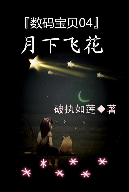 (���뱦��ͬ��)���뱦��04���·ɻ�����