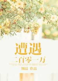 ����������һ�����