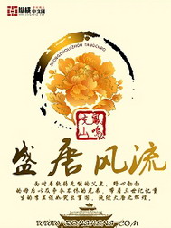 ʢ�Ʒ�������