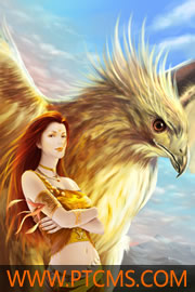 �̽���������